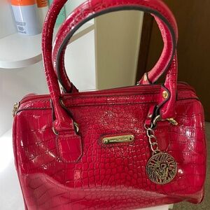 Cherry Red Purse